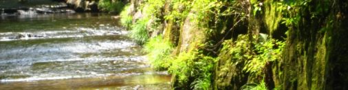 Takkiri Valley Oita Japan