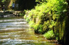 Takkiri Valley Oita Japan