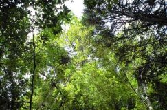 Kiyotaki Fall in Naoiri Taketa Oita