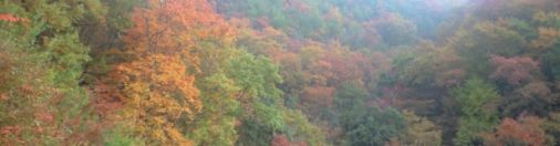 Autumn Color in Oita