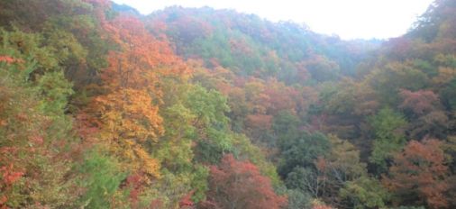 Autumn Color in Oita