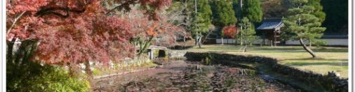 Japanese Autumn view