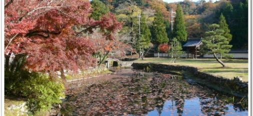 Japanese Autumn view